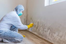 Best Mold Removal for HVAC Installations  in Cocoa West, FL